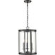 Aydenn 3 Light 11.75 inch Pendant